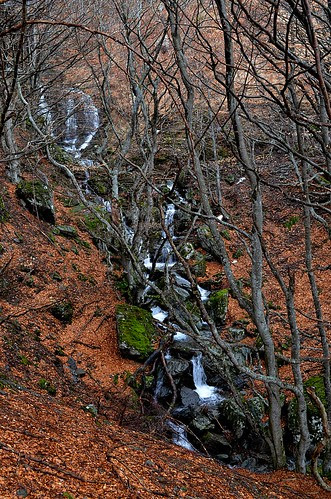 Waterfalls of Aigoual