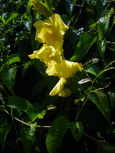 DSC06863