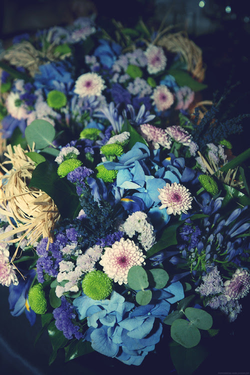 _P4Z2118.jpg_effected