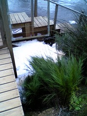 River foam from natural detergents