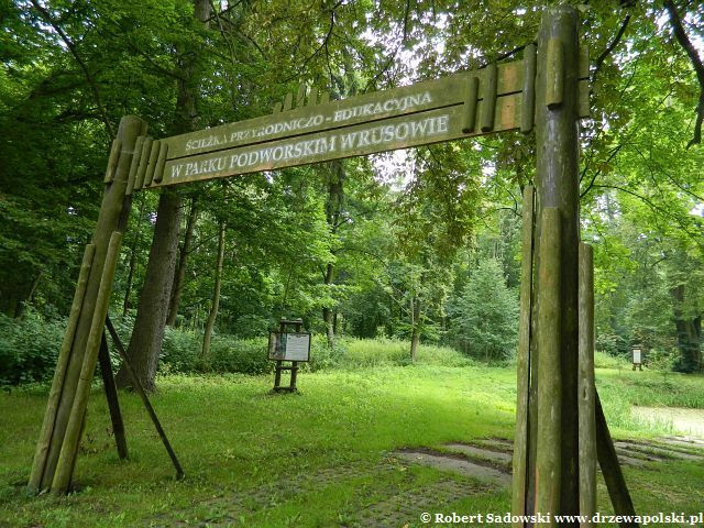 Rusowo - Park podworski Rusowo - Park podworski