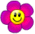Pink flower Pink flower