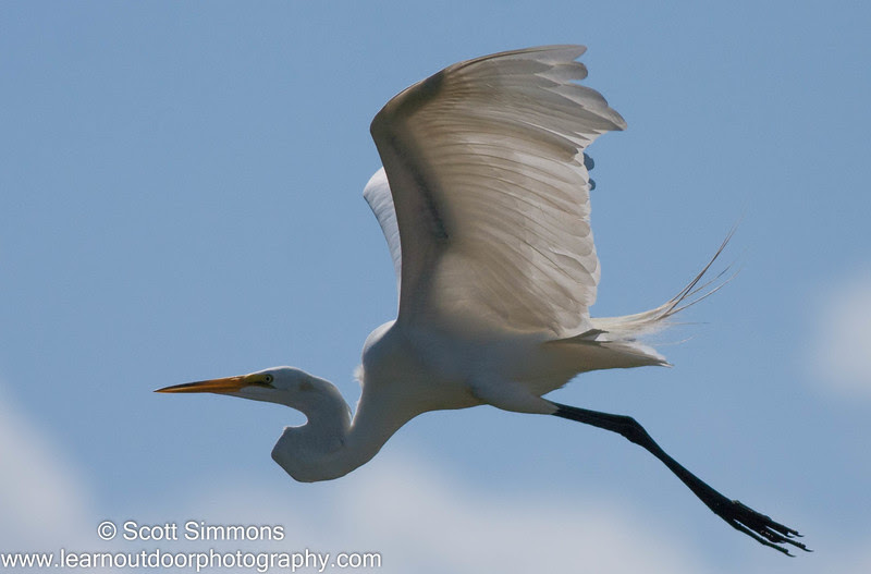 Photo & Video Sharing by SmugMug Photo & Video Sharing by SmugMug