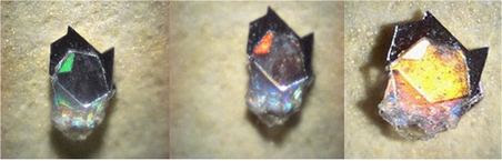 Enlarge photo 34