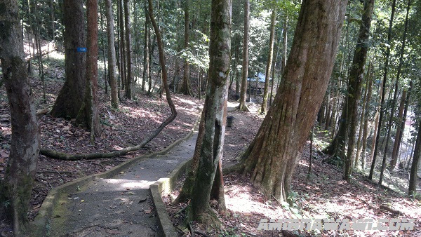amirtravel Air Terjun Lata Belantan Besut Terengganu amirtravel Air Terjun Lata Belantan Besut Terengganu