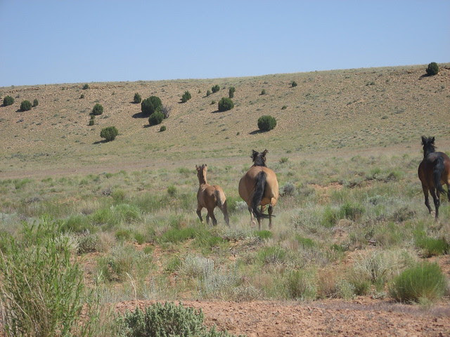 San Rafael Swell 06.22.07