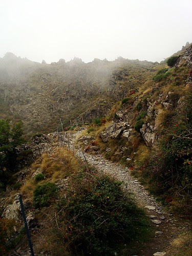 Mont Aigoual