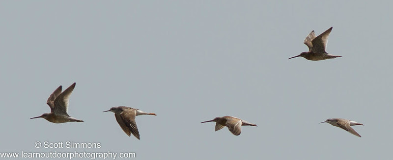 Photo & Video Sharing by SmugMug Photo & Video Sharing by SmugMug