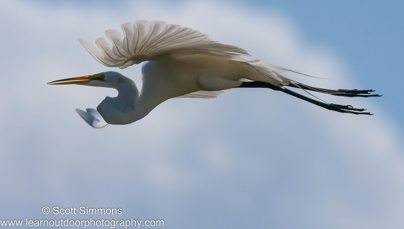 Photo & Video Sharing by SmugMug Photo & Video Sharing by SmugMug