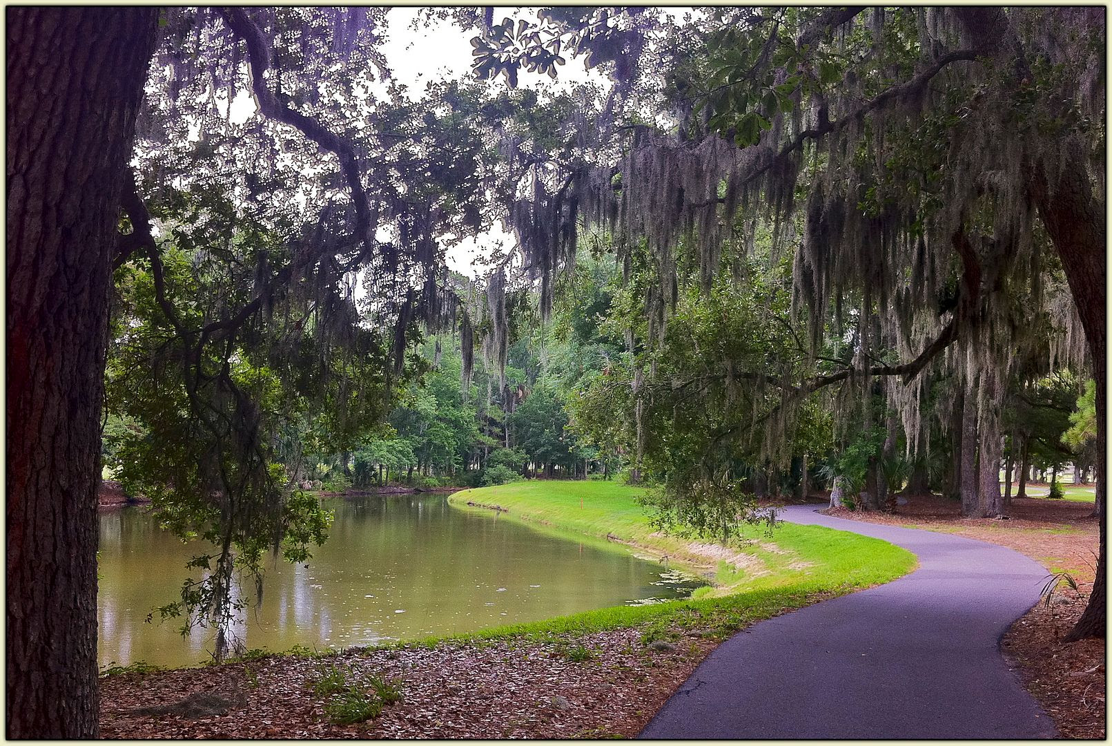 Sea Pines Bike Path