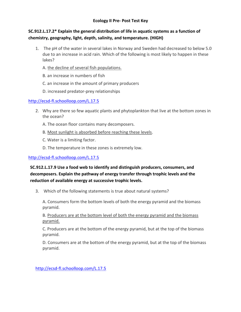 Ecological Pyramid Worksheet - Free Worksheet