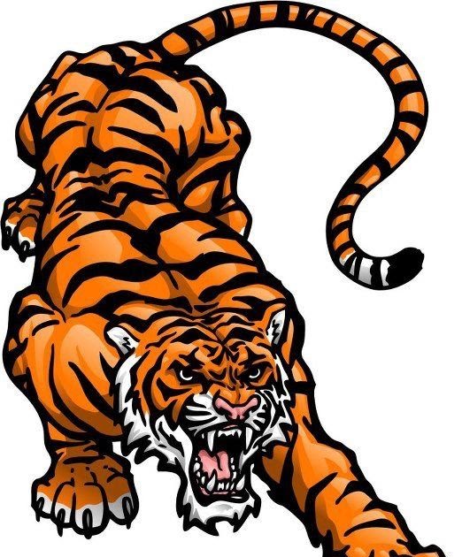 Gambar Logo Harimau Keren Logo Keren