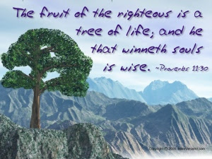 Proverbs_11v30
