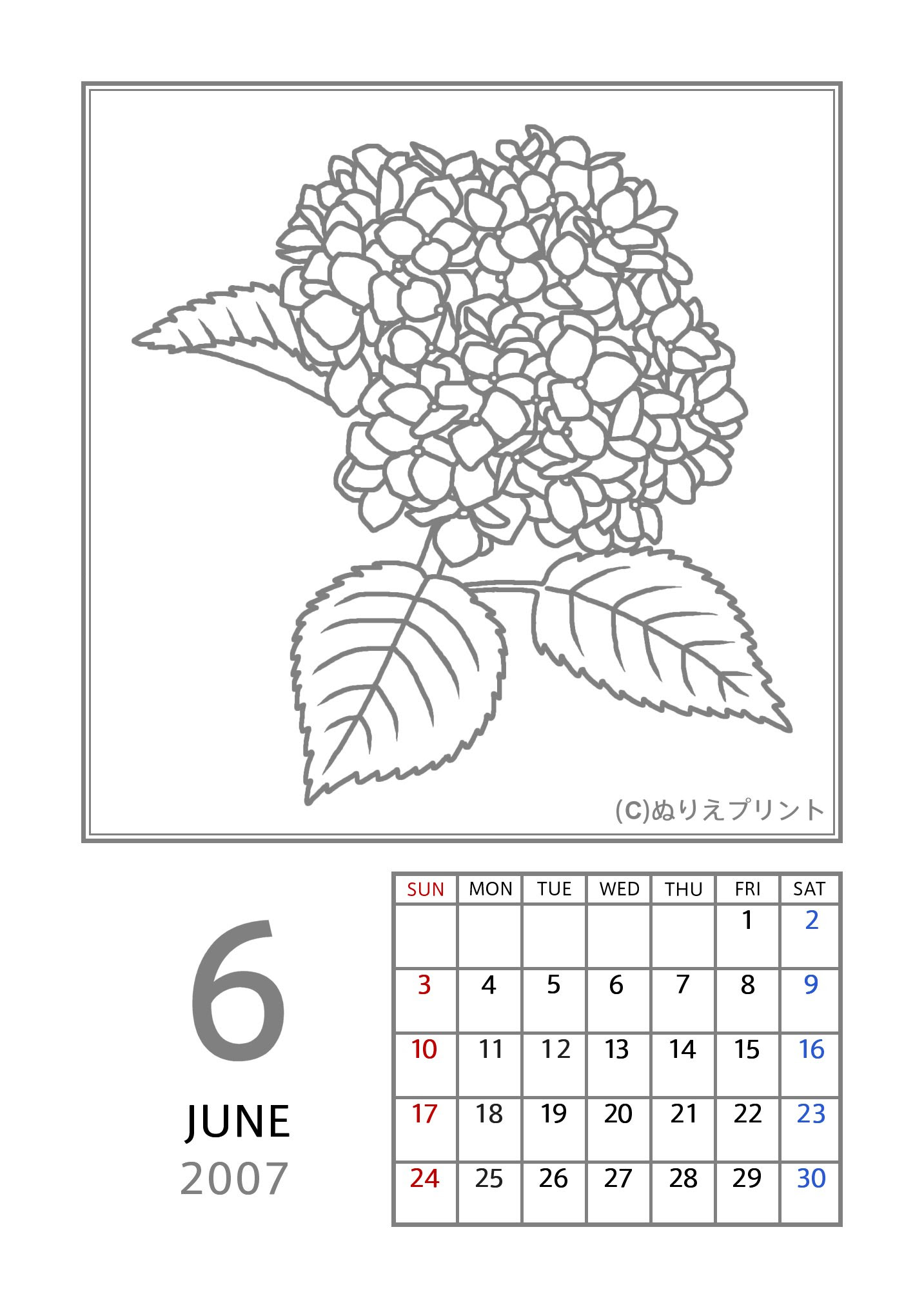 6月 アジサイ 紫陽花 グレー 07 平成19年 花のぬりえカレンダー 無料 フリー ぬりえプリント