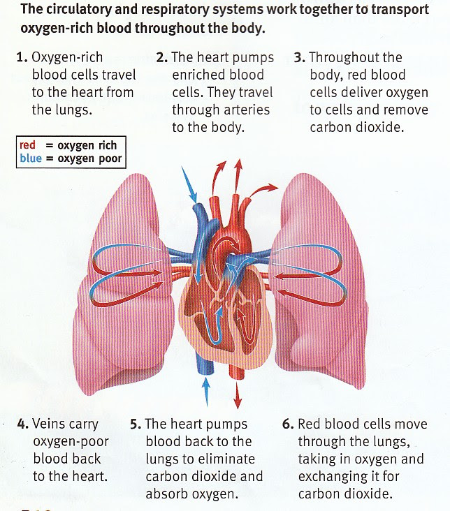 My Image 34