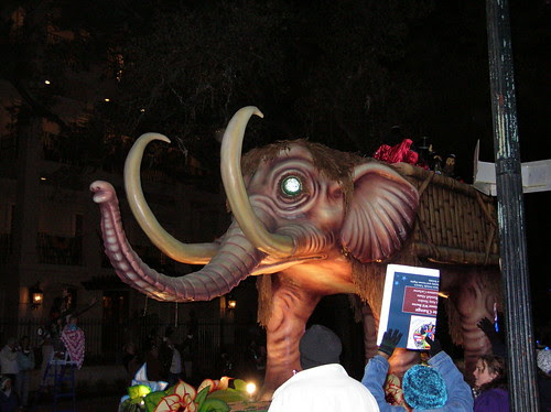 Pygmammoth