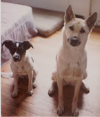 the girls
