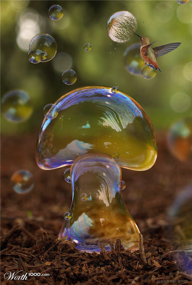 Water mushroom photo manipulation by brunosousa Water mushroom photo manipulation by brunosousa