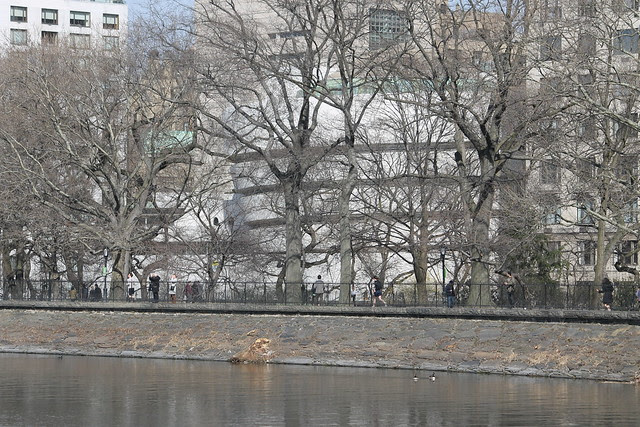 A Walk in Central Park