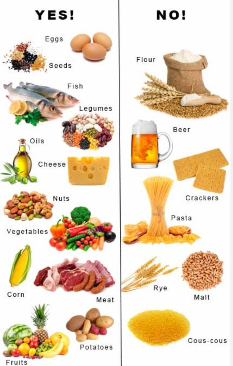 Introduction to the Gluten-Free, Casein-Free, Soy-Free Diet - The Autism  Community in Action