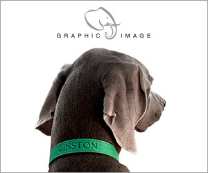 Graphic Image Pet Collars