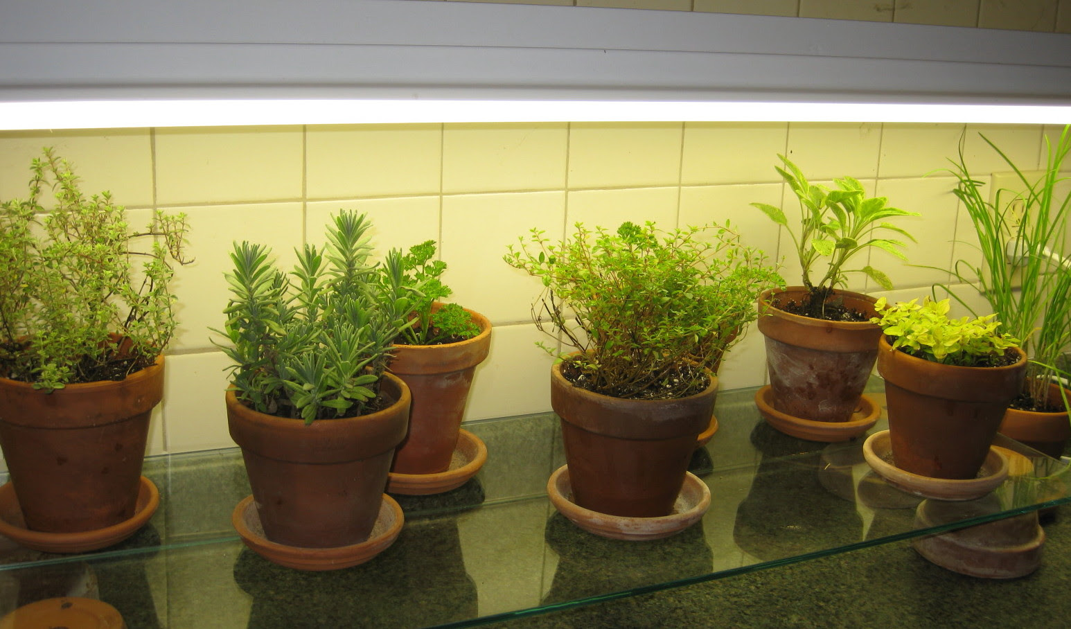 Indoor Kitchen Garden Ideas Homsgarden