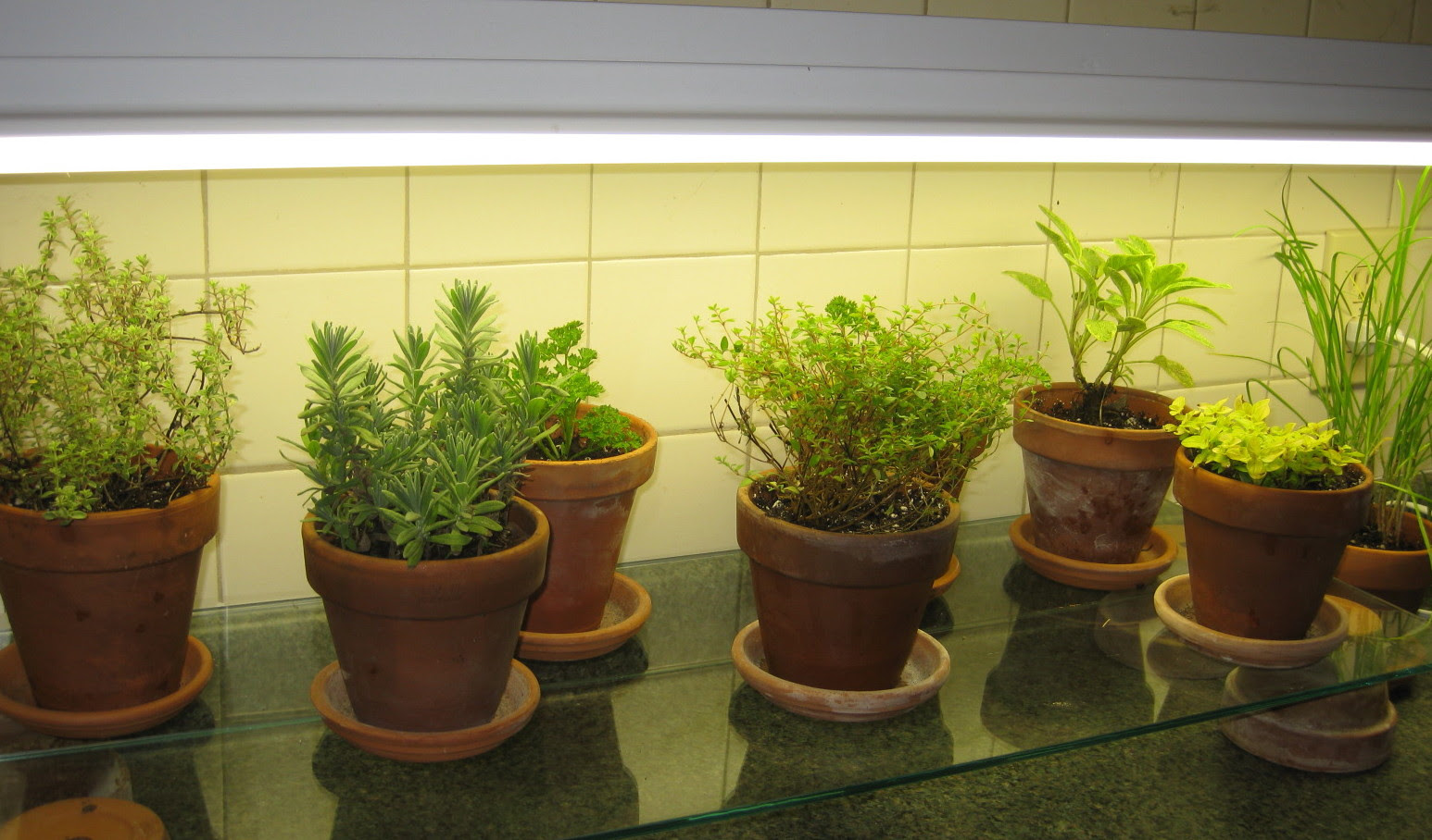 Indoor Kitchen Garden Ideas Homsgarden