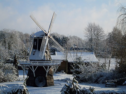 De Lelie - Aalten - Winter - 2009