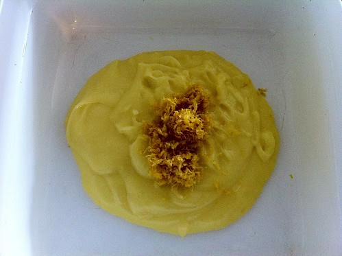 Zest Added to Custard