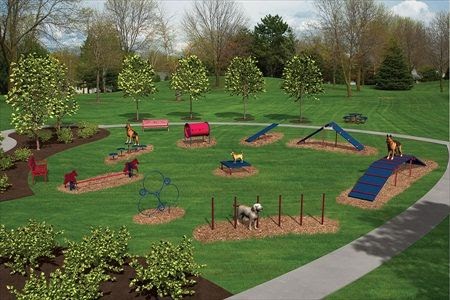 Good Dog Parks Near Me - TEWLO