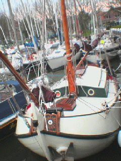 bolle jan