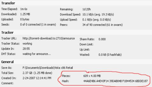 torrent download from hash