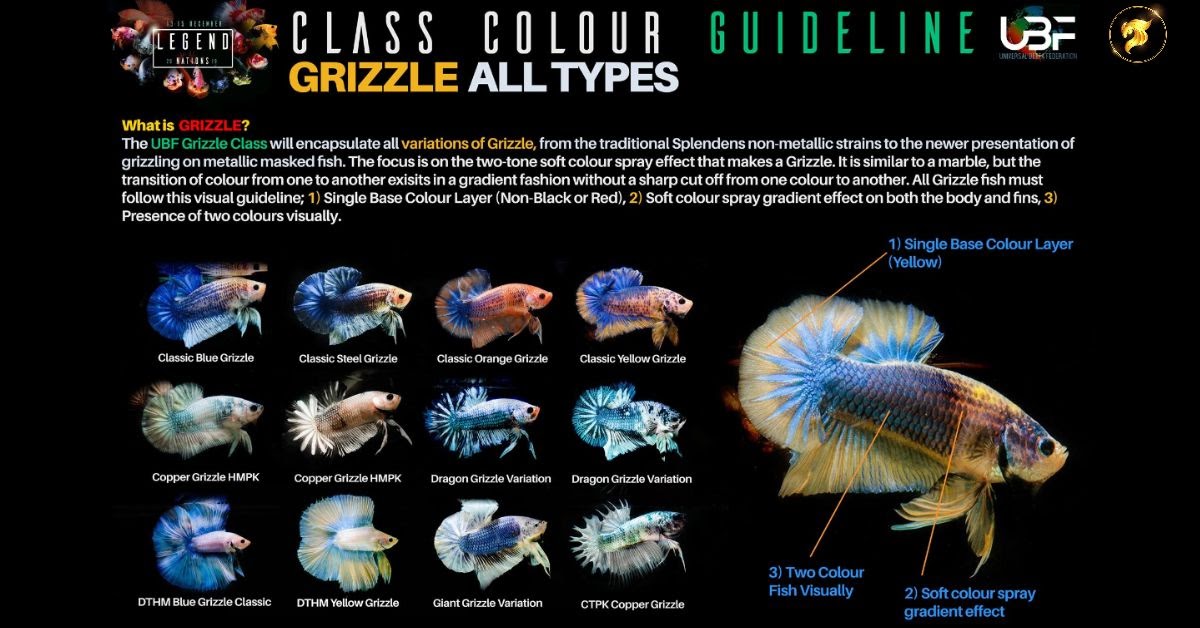 Betta Color Chart