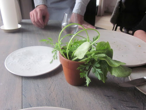 Noma - Copenhagen - August 2012 - Radish, "Soil" and "Grass"