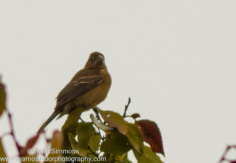 Photo & Video Sharing by SmugMug Photo & Video Sharing by SmugMug