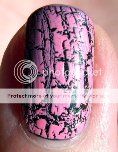 vernis