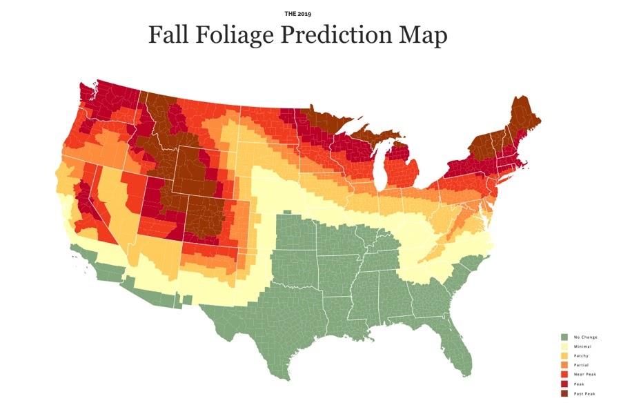 Fall Foliage Prediction Map Living Room Design 2020