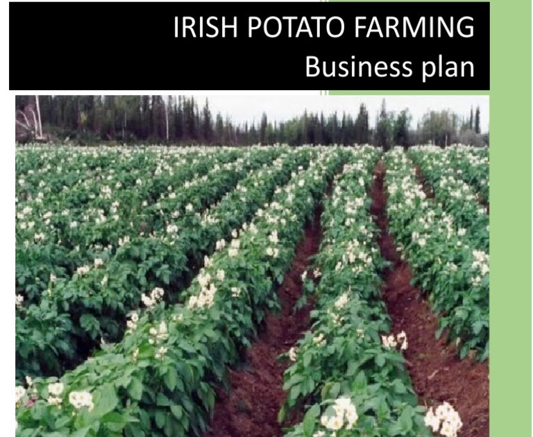 business plan for horticulture farming