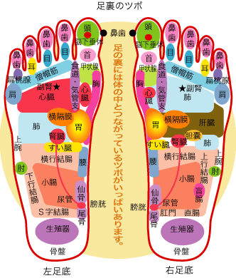 Japan Image 図 足つぼ 効果
