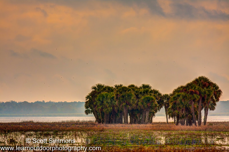 Photo & Video Sharing by SmugMug Photo & Video Sharing by SmugMug