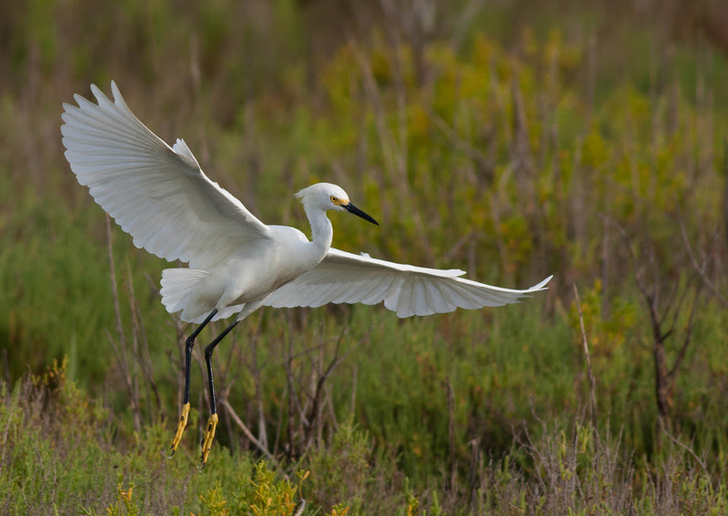Photo & Video Sharing by SmugMug Photo & Video Sharing by SmugMug
