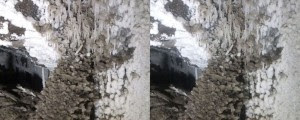 DSCF0457