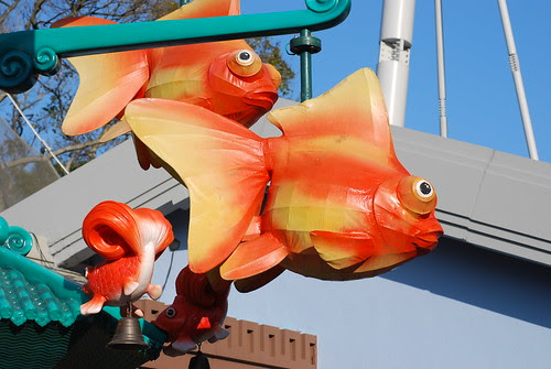Fish Lantern