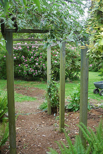 garden 2007