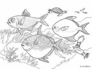 無料イラスト画像 トップ100魚の イラスト 塗り絵