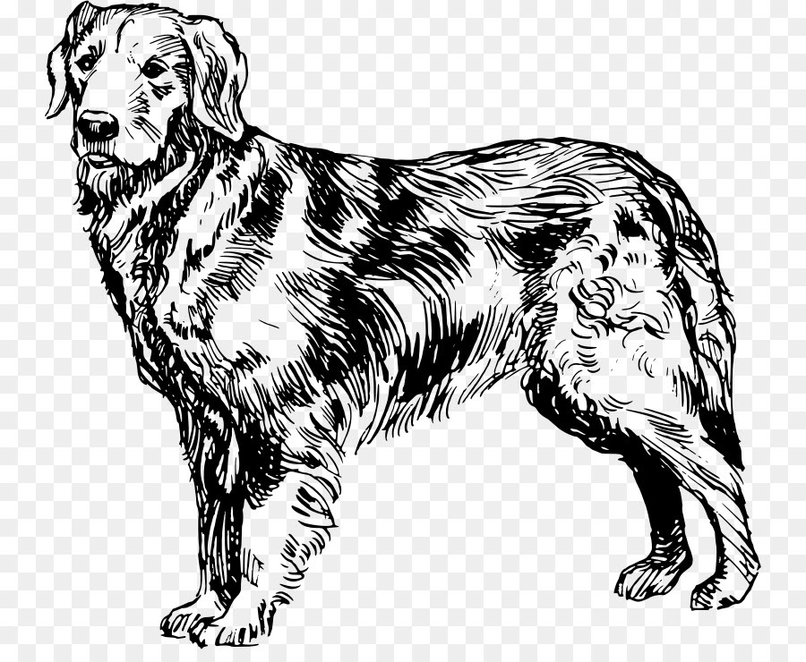 goldendoodle-puppy-coloring-pages