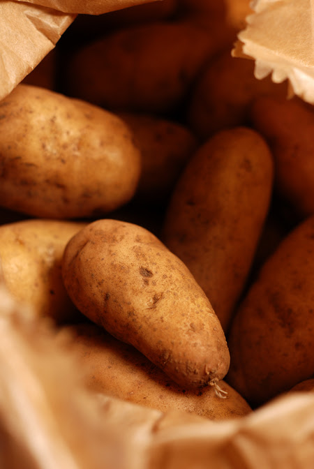 baby pink fir apple potatoes© by Haalo