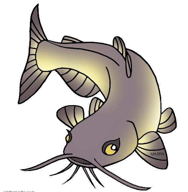 48+ Gambar Kartun Ikan Lele Gambar Kartun