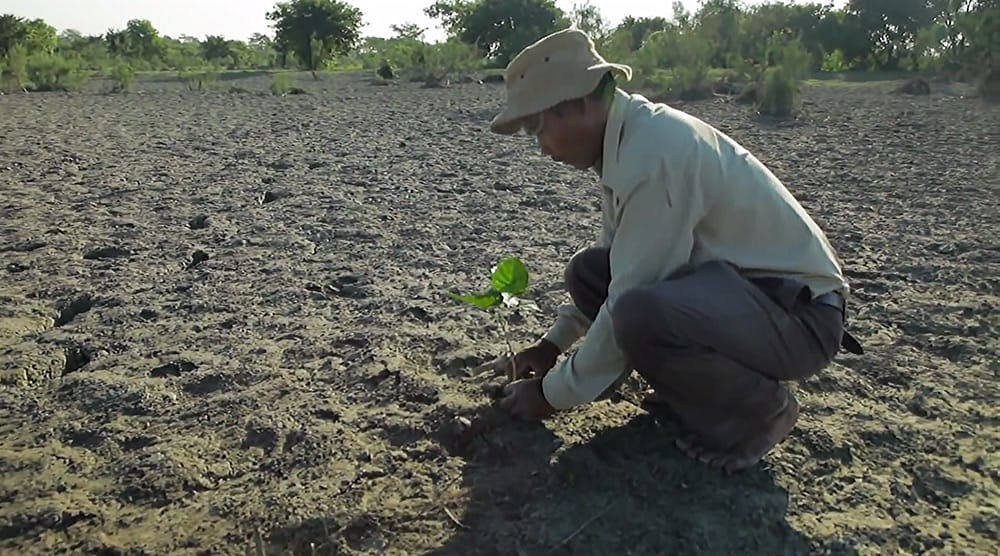 Since the 1970s a Man Has Been Planting a Forest Larger than Central Park, One Tree at a Time Since the 1970s a Man Has Been Planting a Forest Larger than Central Park, One Tree at a Time trees nature India global warming forests environment