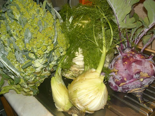 calabrese fennel kohlrabi